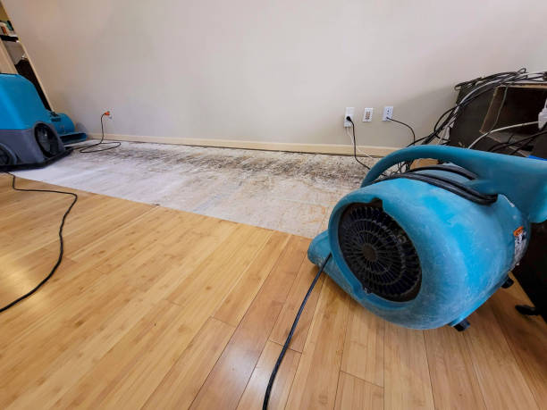 Professional Sewage Cleanup technician working in Edmonson, TX